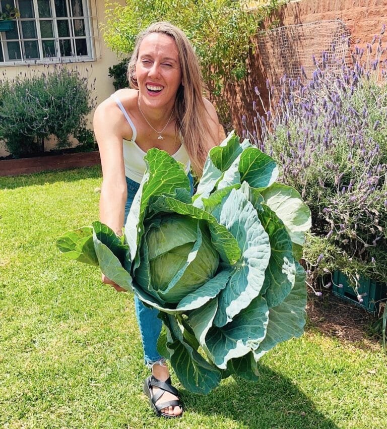 Curso de Huerta orgánica desde cero