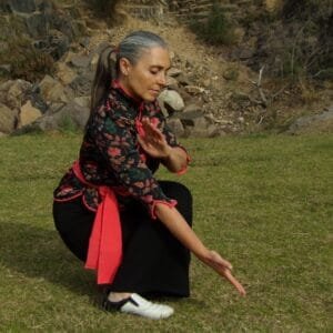 Master Class I de Chi Kung