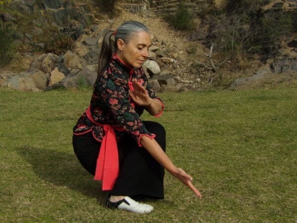 Master Class I de Chi Kung