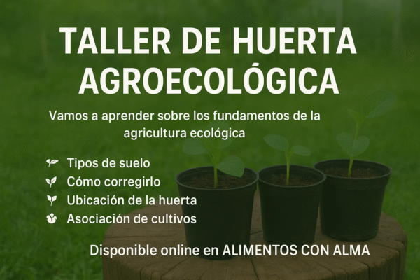 Taller de huerta - Parte 2