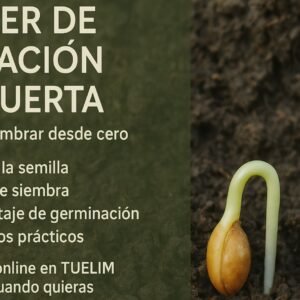 Taller de huerta - Parte 1