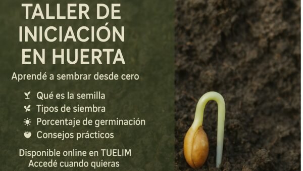 Taller de huerta - Parte 1
