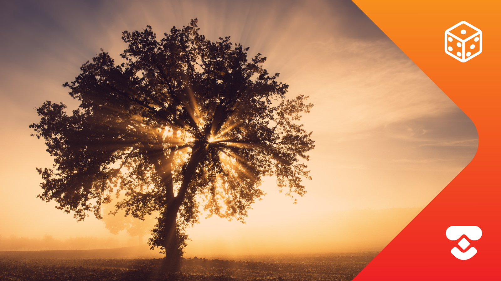 Legado femenino: guía para reconocer tu linaje