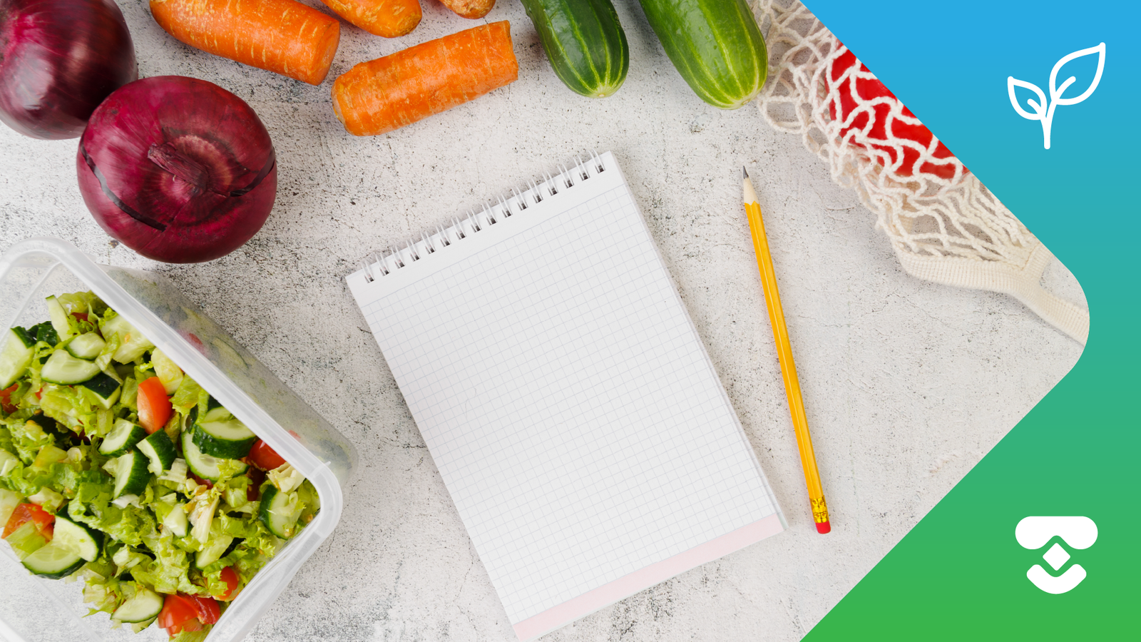 Selectividad Alimentaria Para Padres